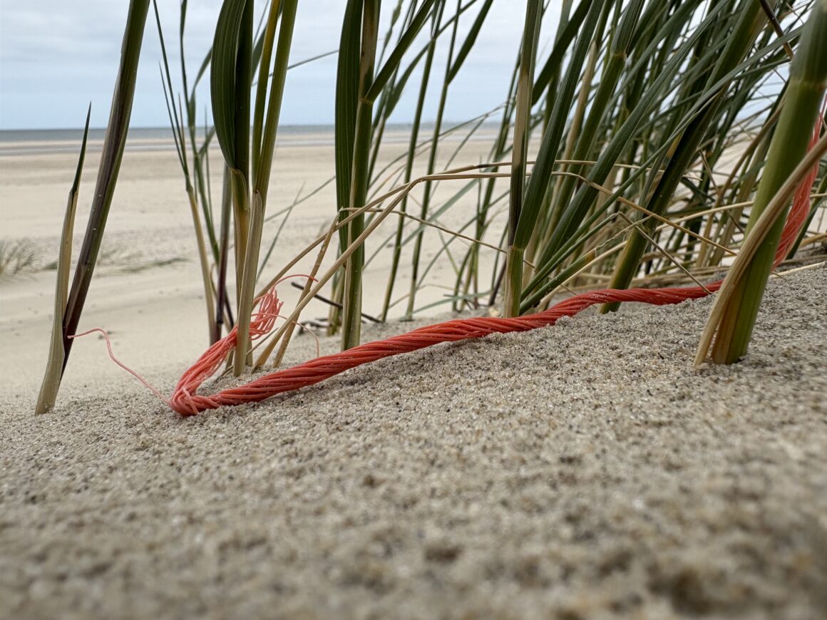 Vlieland plastic vrij
